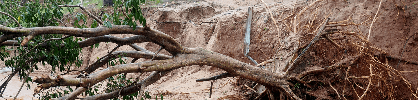 Mozambique, Idai cyclone