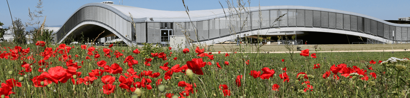 Rolex Learning Centre