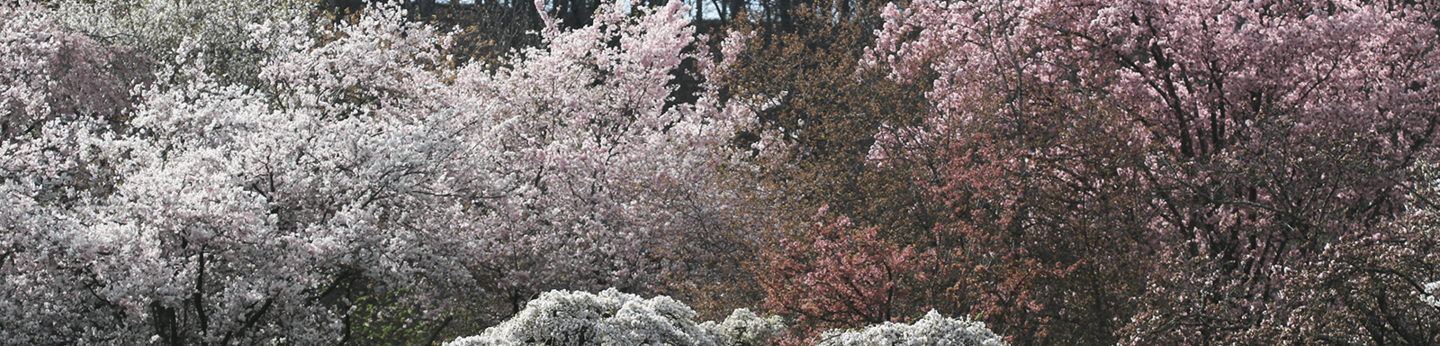 Switzerland, Arboretum 