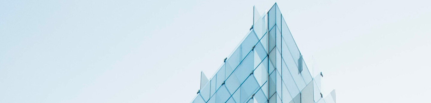 Digital Identity - needs and issues - 2
