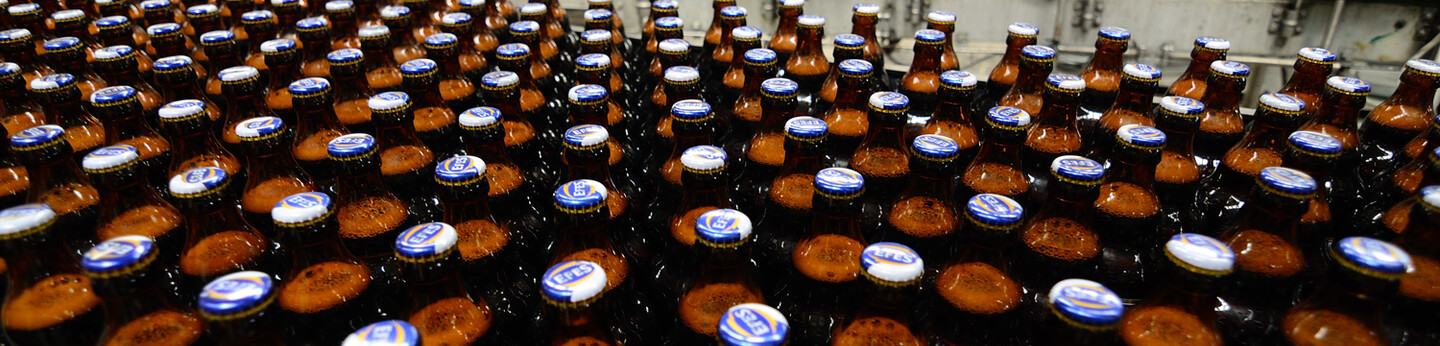beer bottles on production line