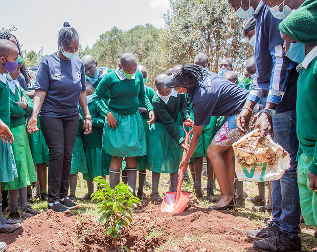 Kenya, Indigenous tree planting