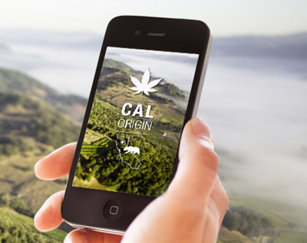 CalOrigin