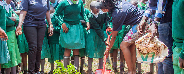 Kenya, Indigenous tree planting