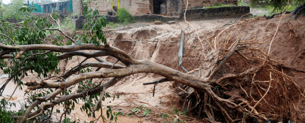 Mozambique, Idai cyclone