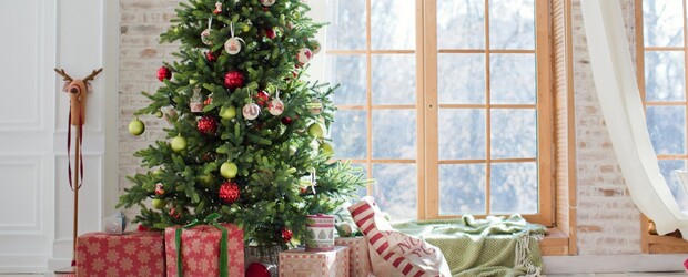 Spain, A smile for Christmas