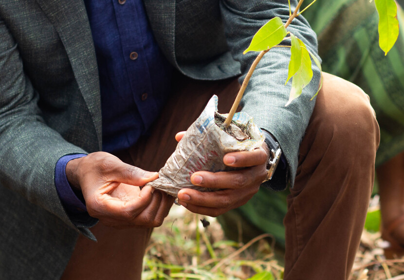 SICPA-News-Togo-Tree-planting