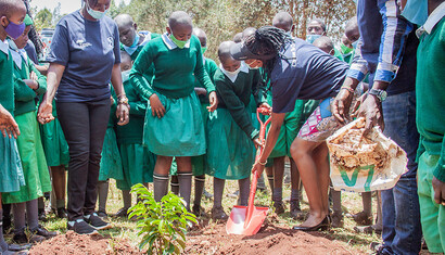 Kenya, Indigenous tree planting
