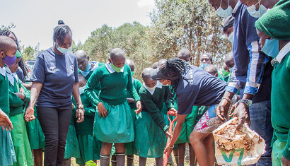 Kenya, Indigenous tree planting